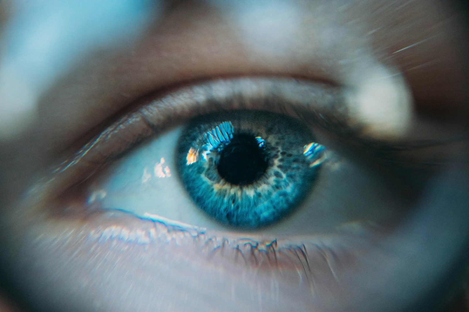 Photo by Ion Fet blue eye photo